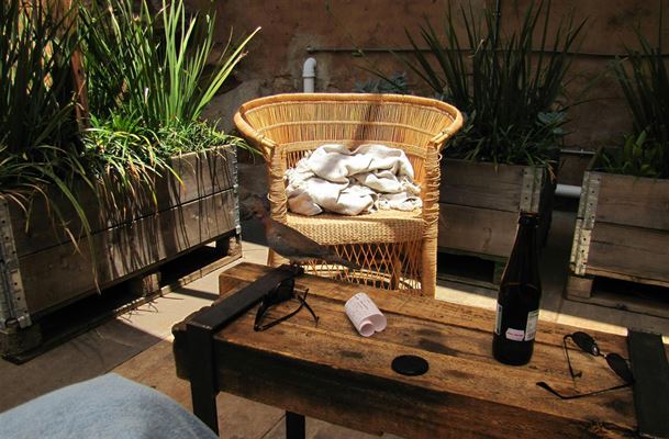 Havestol polyrattan - det perfekte valg til din have