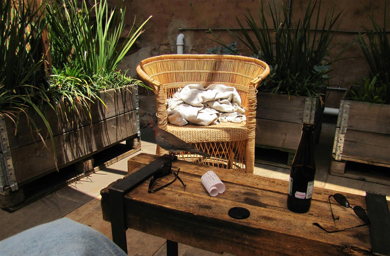 Havestol polyrattan - det perfekte valg til din have